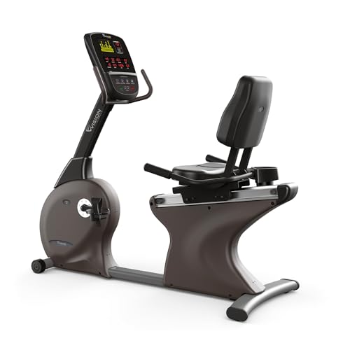 Vision Fitness Liegeergometer "R60"