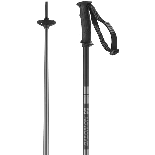 Salomon Stöcke Arctic Unisex Skitouren 115cm